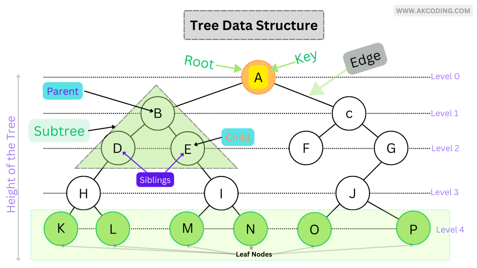 Tree Data Structure Top 10 Types Of Trees 5504